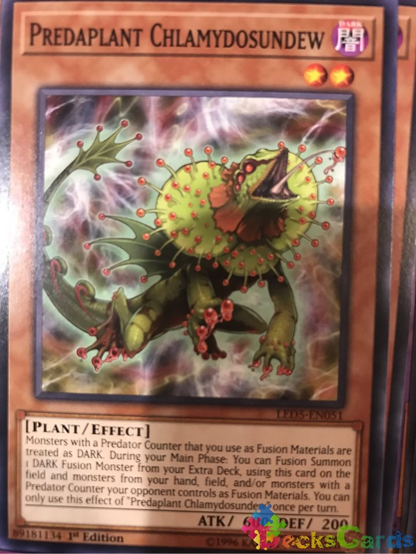 Predaplant Chlamydosundew - LED5-EN051 - Common 1st Edition 1