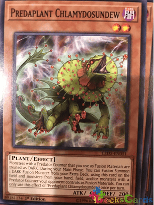 Predaplant Chlamydosundew - LED5-EN051 - Common 1st Edition