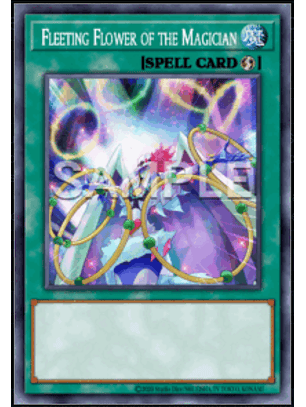 Fleeting Flower of the Magician - DOOD-EN089 - Common 1st Edition