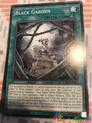 Black Garden - led4-en032 - Common 1st Edition