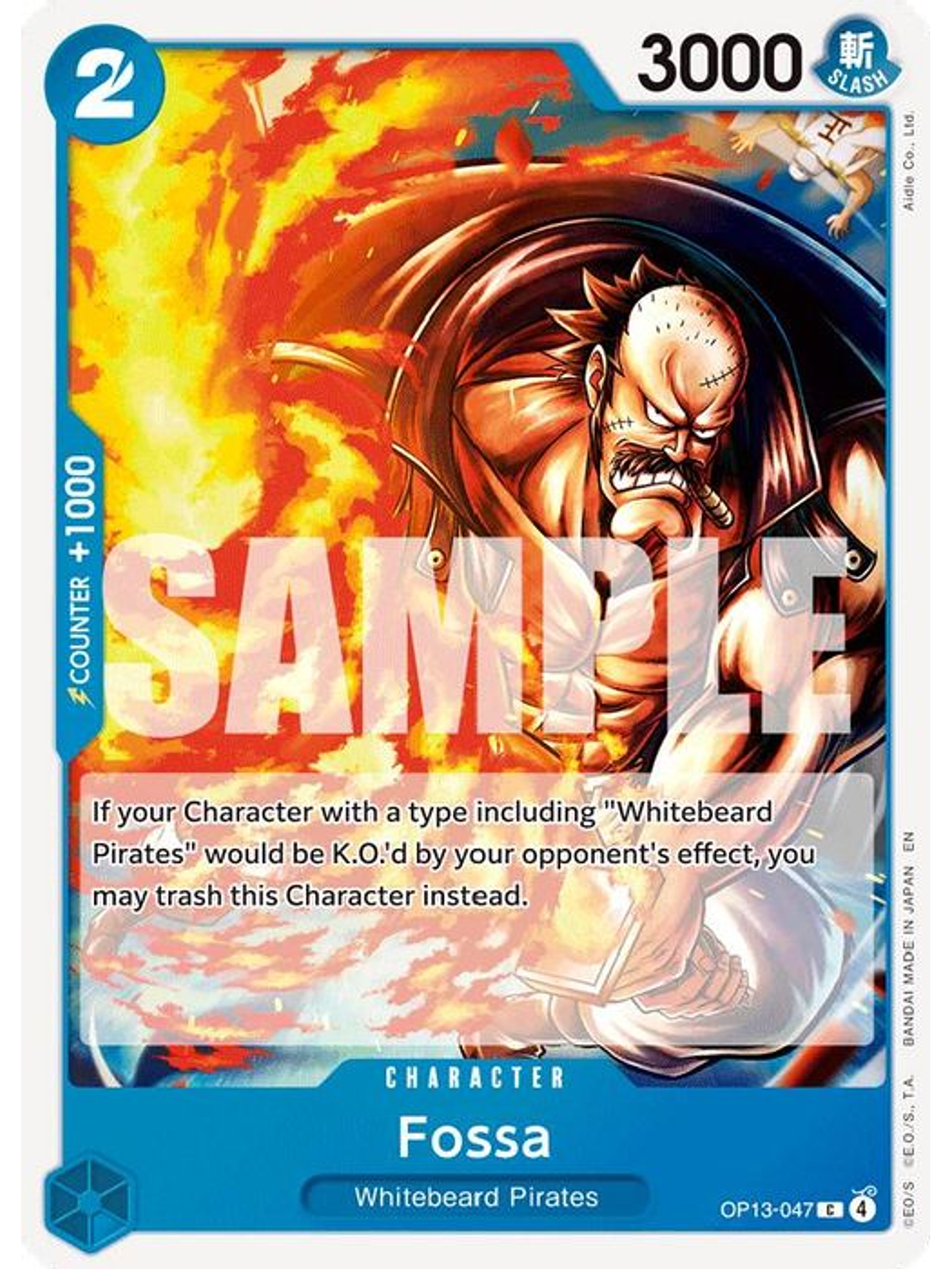 OP13-047 C Fossa 1