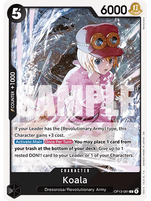 OP13-081 C Koala