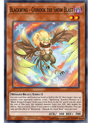 Blackwing - Chinook the Snow Blast - L5DD-ENC14 - Common 1st Edition