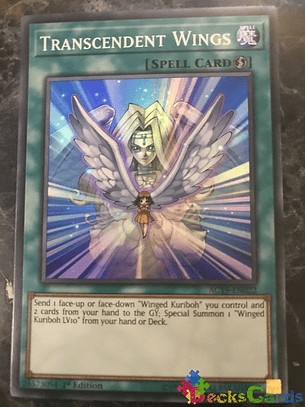 Transcendent Wings - AC19-EN022 - Super Rare 1st Edition