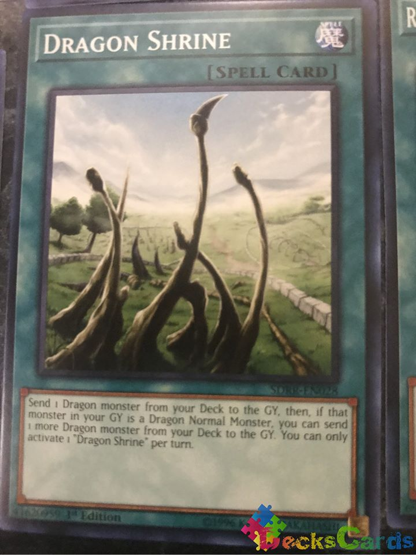 Dragon Shrine - SDRR-EN028 - Common 1st Edition 1