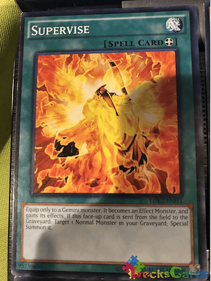 Supervise - LDK2-ENJ31 - Common Unlimited