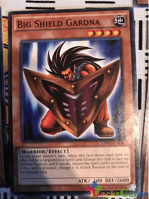 Big Shield Gardna - LDK2-ENY16 - Common Unlimited