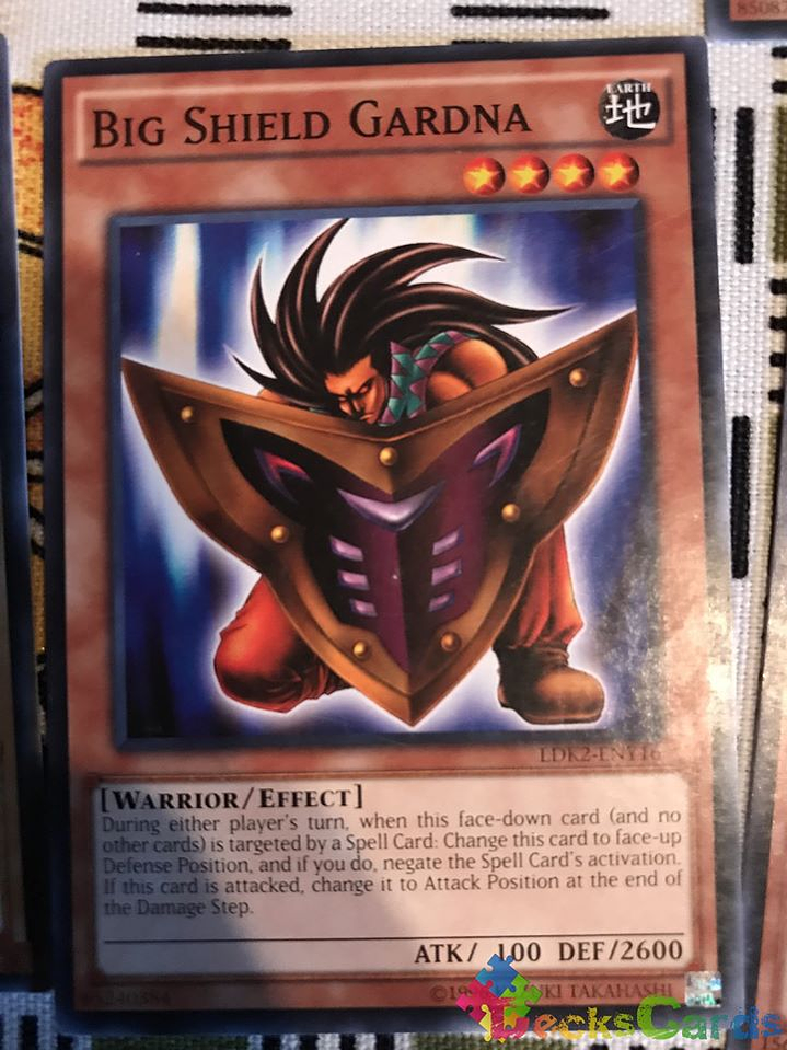 Big Shield Gardna - LDK2-ENY16 - Common Unlimited 1