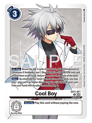 EX11-071 R Cool Boy
