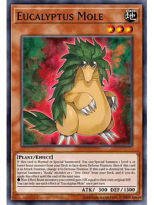 Eucalyptus Mole - MZMU-EN021 - Rare 1st Edition