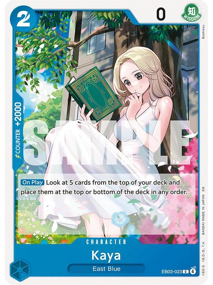 EB03-023 C Kaya 1
