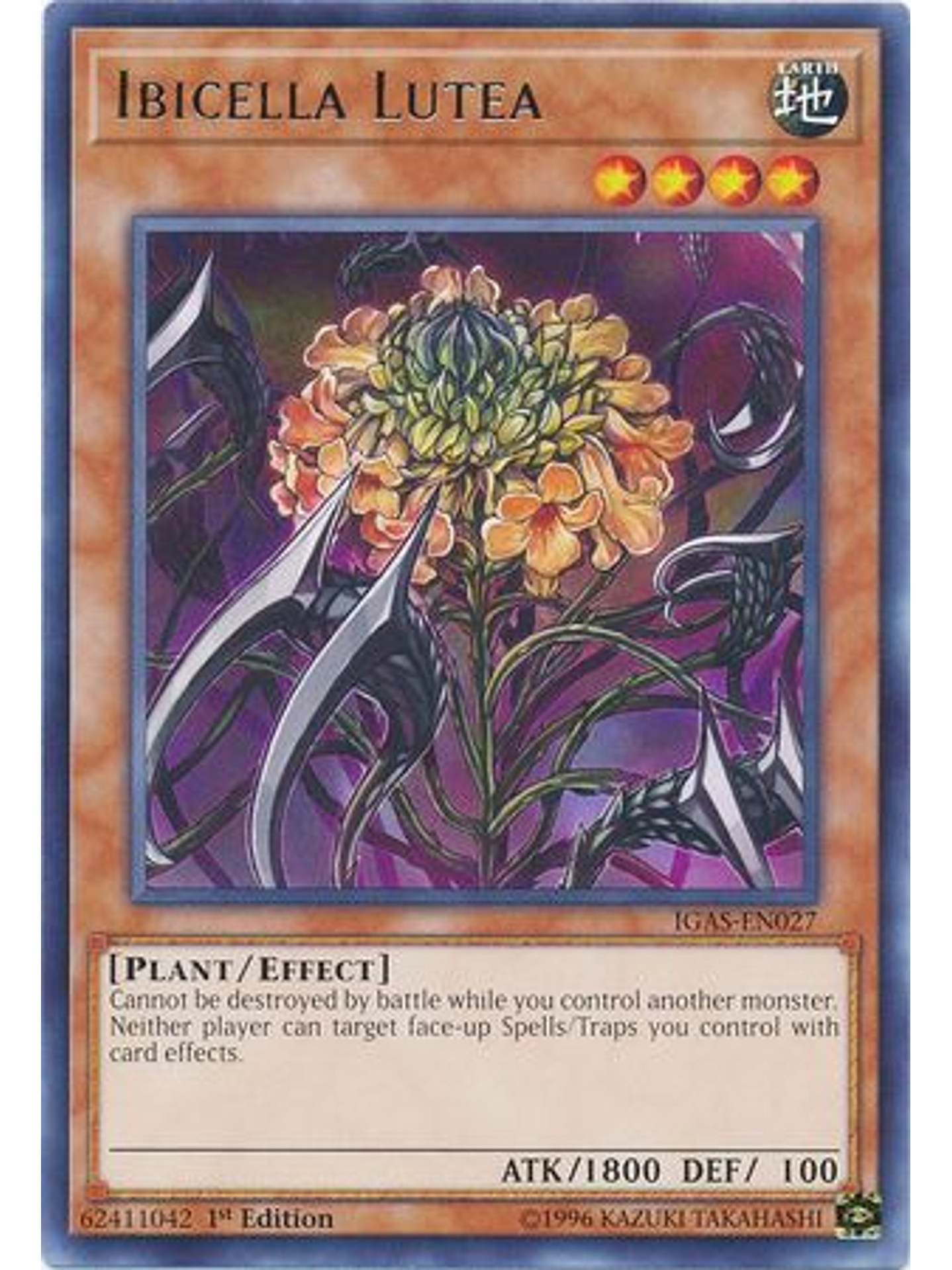 Ibicella Lutea - IGAS-EN027 - Rare 1st Edition 1