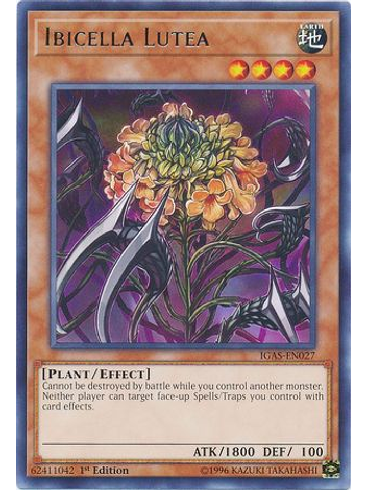 Ibicella Lutea - IGAS-EN027 - Rare 1st Edition 1