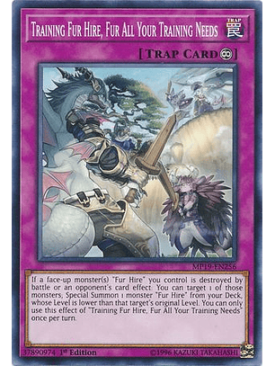 Training Fur Hire, Fur All Your Training Needs - MP19-EN256 - Common 1st Edition