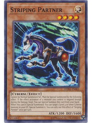 Striping Partner - EXFO-EN003 - Common Unlimited