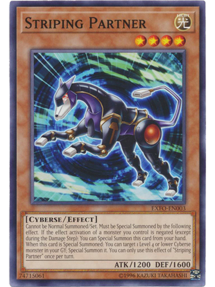 Striping Partner - EXFO-EN003 - Common Unlimited 1