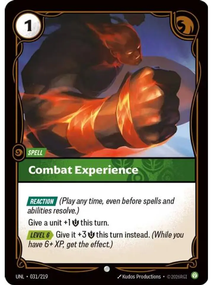 031/219 C ombat Experience 1