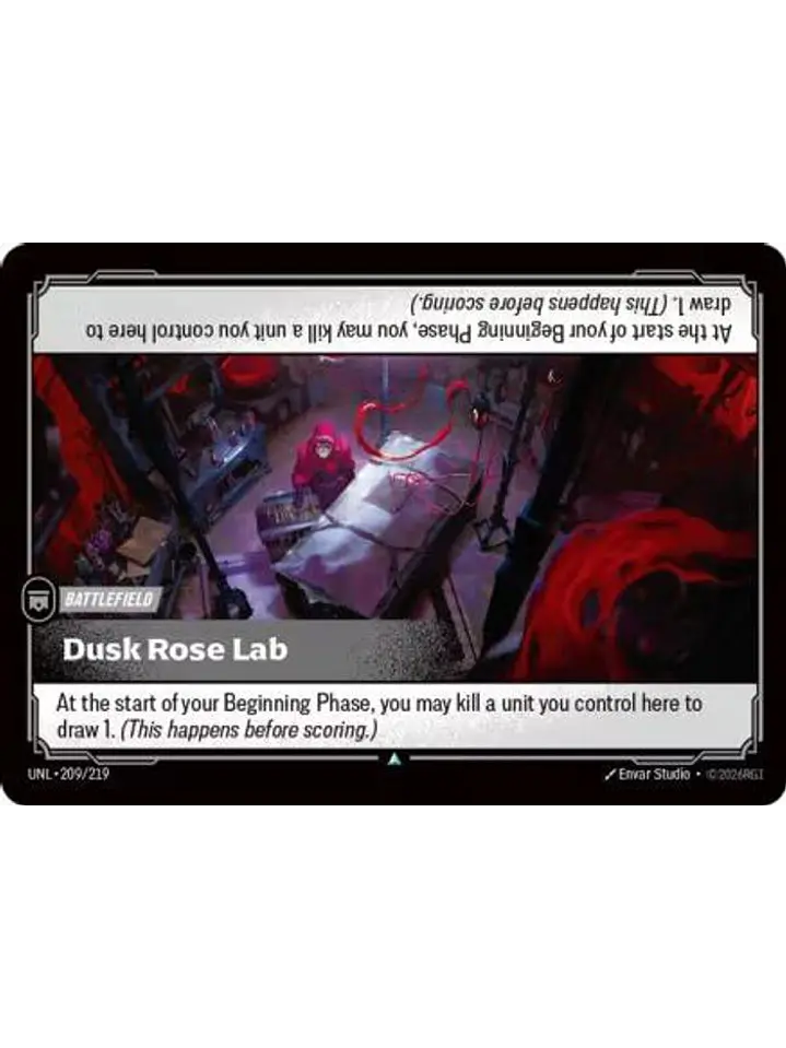 209/219 U Dusk Rose Lab 1