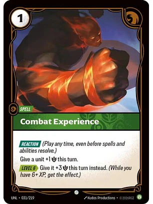 031/219 C ombat Experience (FOIL)