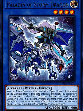 Paladin of Storm Dragon - CYHO-EN031 - Rare Unlimited
