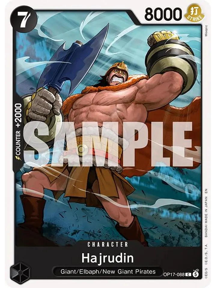OP17-088 C Hajrudin 1