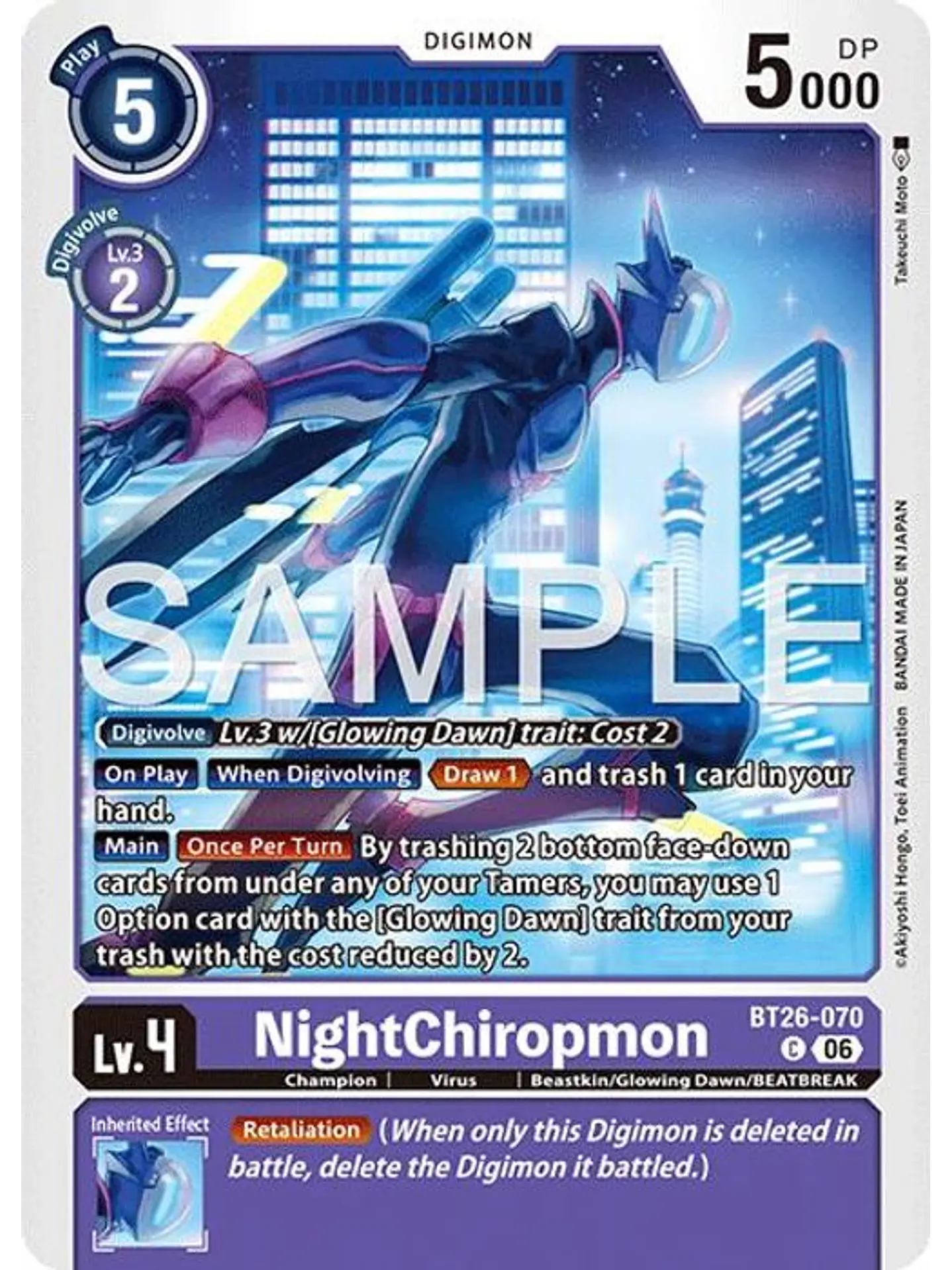 BT26-070 C NightChiropmon 1