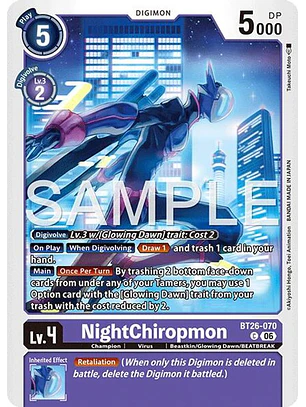 BT26-070 C NightChiropmon