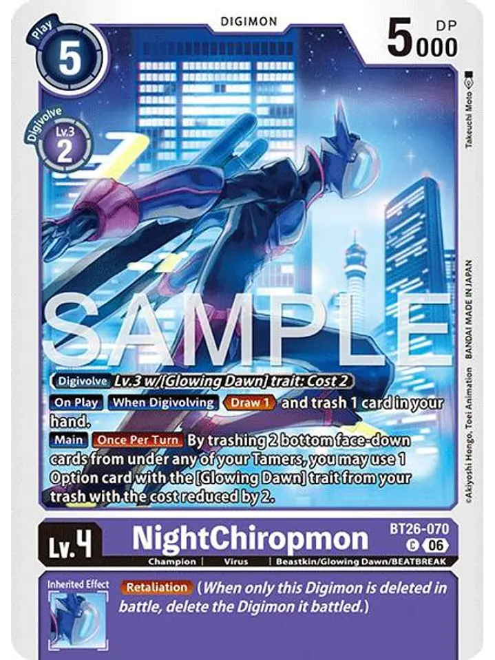 BT26-070 C NightChiropmon 1