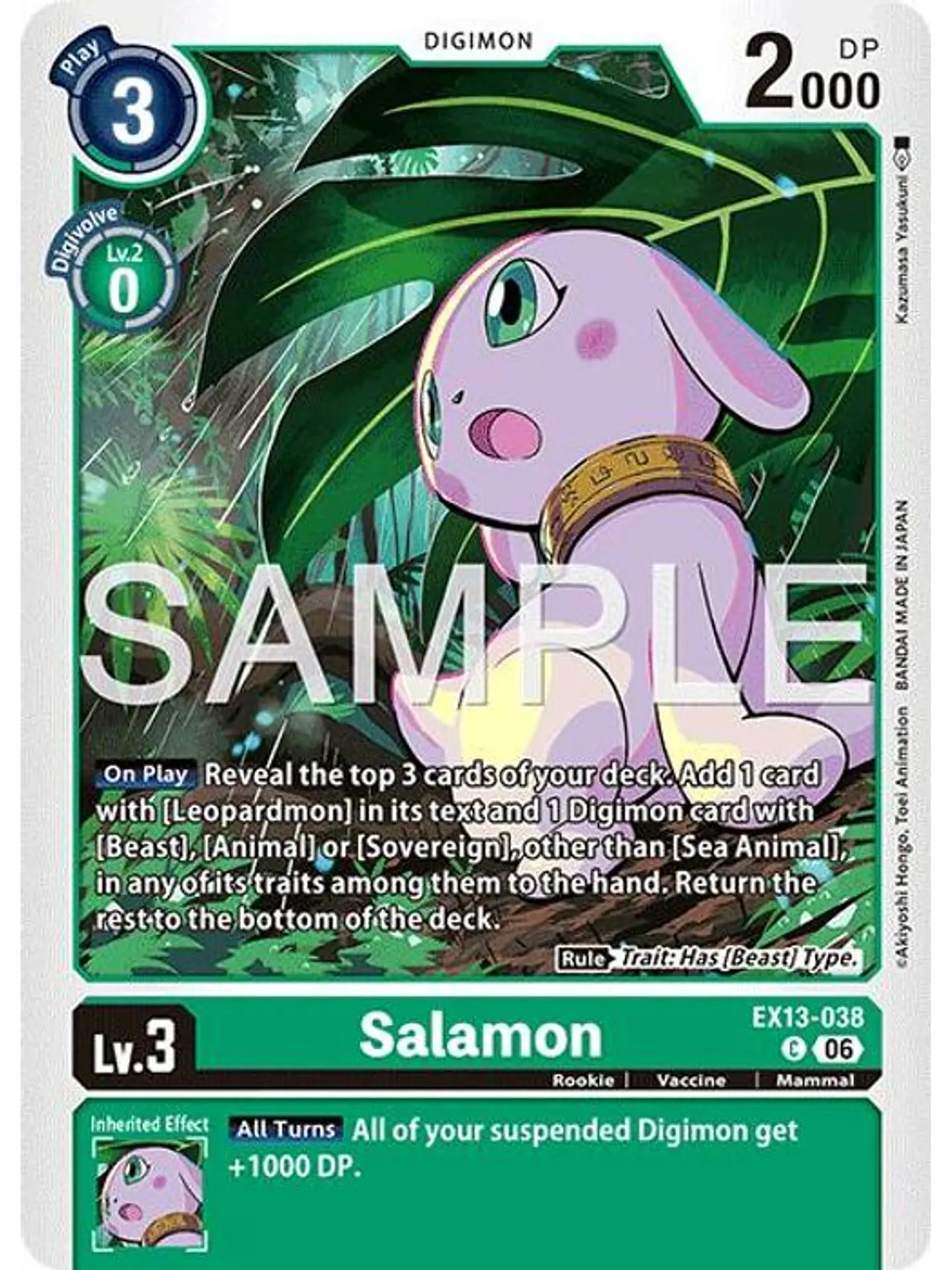 EX13-038 C Salamon 1
