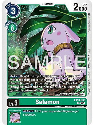 EX13-038 C Salamon