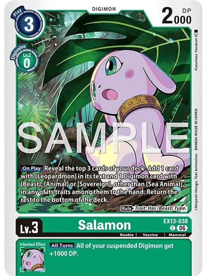 EX13-038 C Salamon 1