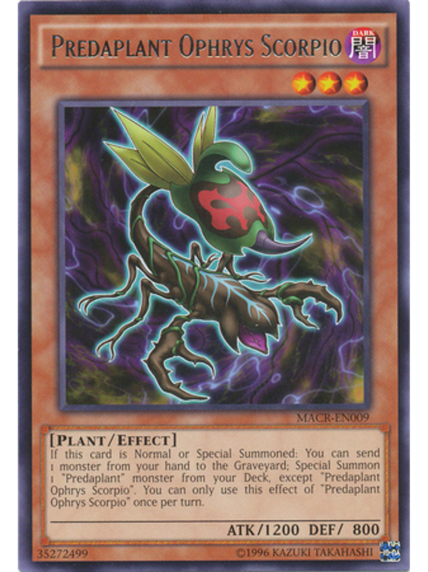 Predaplant Ophrys Scorpio - MACR-EN009 - Rare Unlimited 1