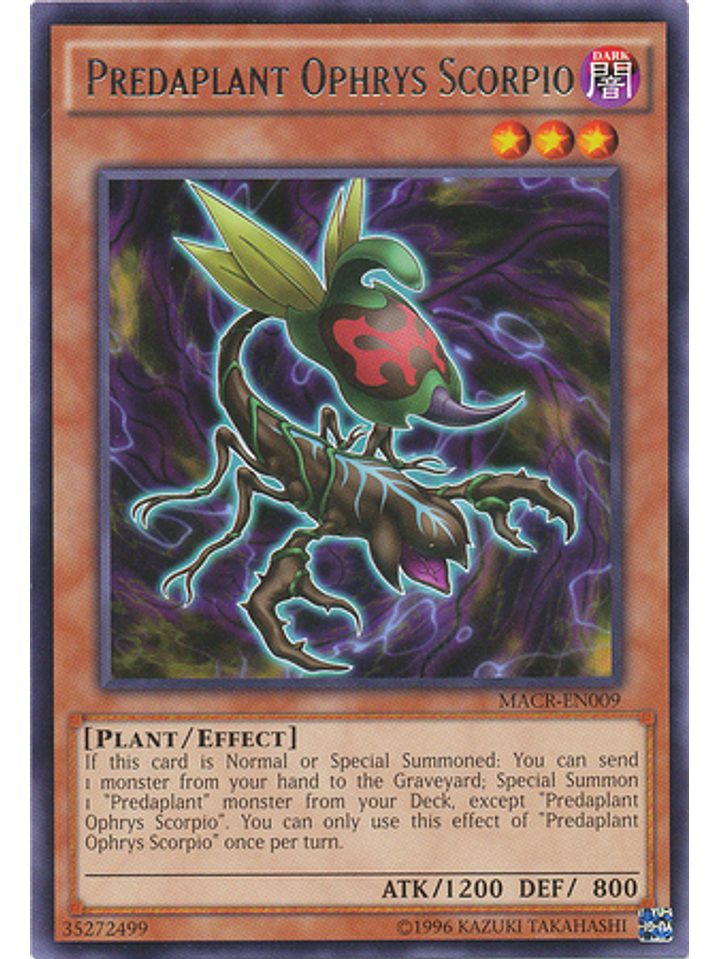 Predaplant Ophrys Scorpio - MACR-EN009 - Rare Unlimited 1