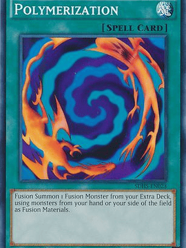 Polymerization - SDHS-EN023 - Common 1st Edition
