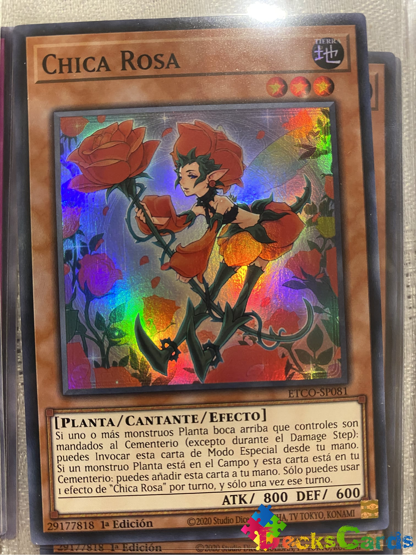 Rose Girl - ETCO-EN081 - Super Rare 1st Edition 1