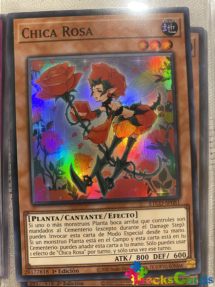 Rose Girl - ETCO-EN081 - Super Rare 1st Edition 1