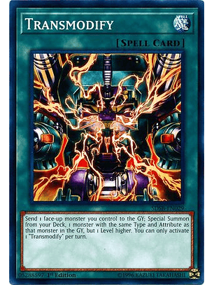 Transmodify - SDSB-EN029 - Common 1st Edition