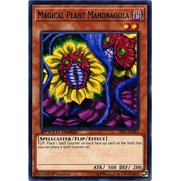 Magical Plant Mandragola - SBSC-EN001 - Common 1st Edition