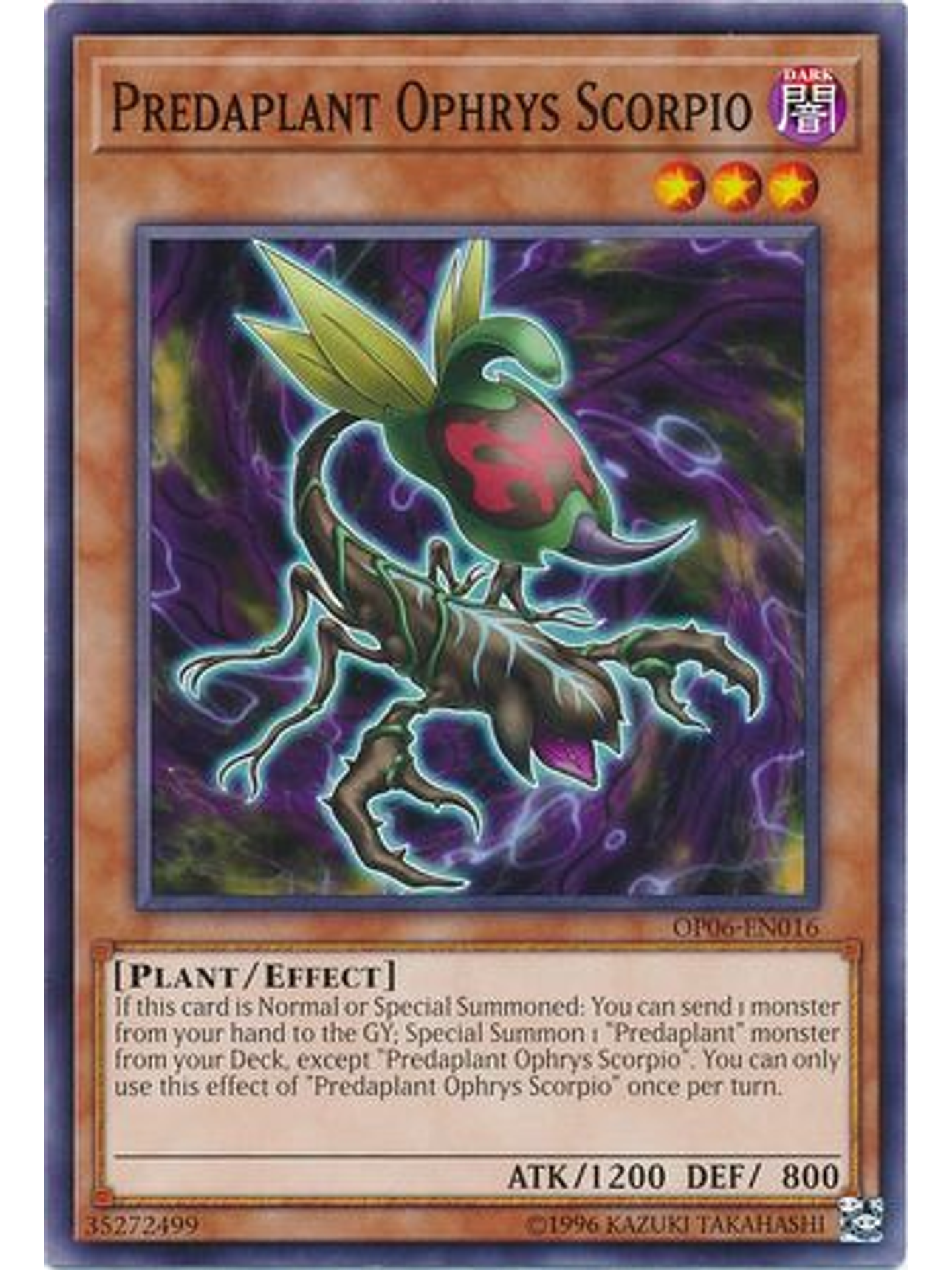 Predaplant Ophrys Scorpio - OP06-EN016 - Common 1