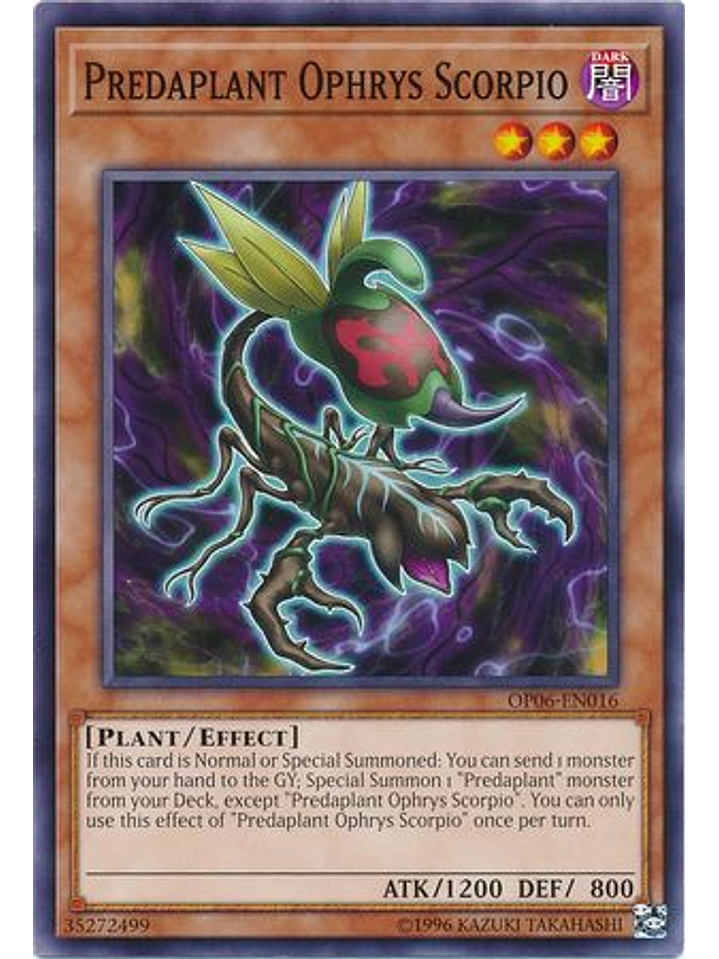 Predaplant Ophrys Scorpio - OP06-EN016 - Common 1