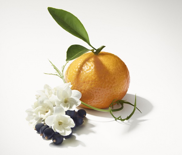 Mikado Jazmín Mandarina