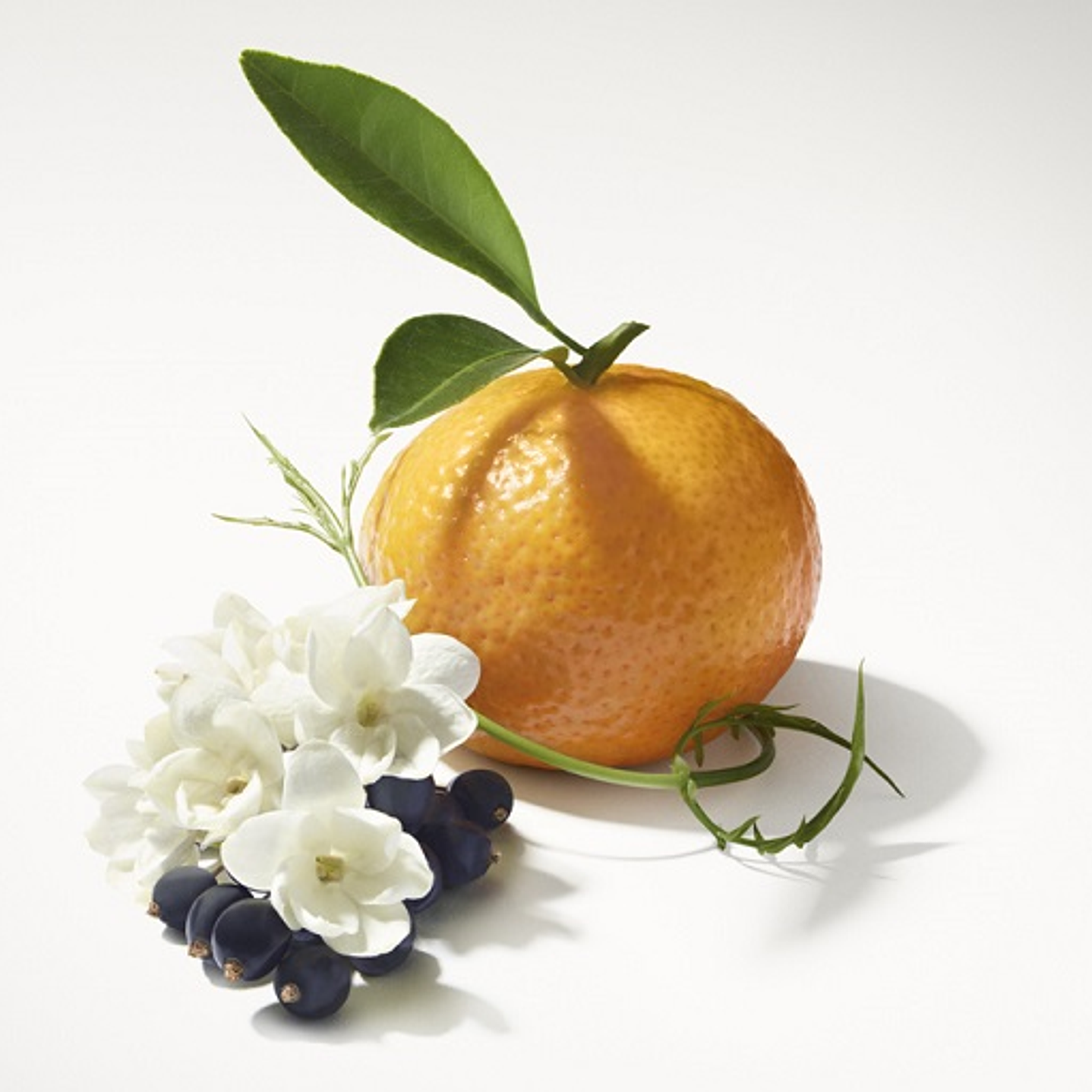 Recarga Mikado Jazmín Mandarina