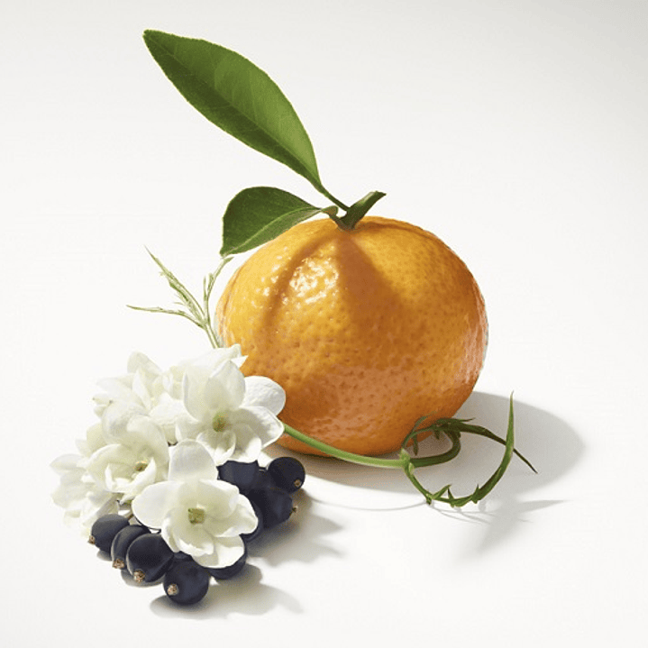 Recarga Mikado Jazmín Mandarina