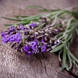 Perfume Telas Romero Lavanda