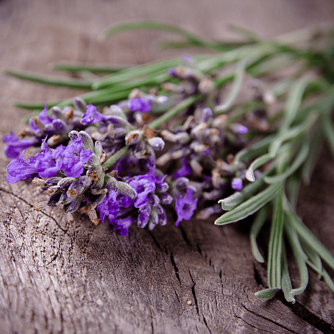 Perfume Telas Romero Lavanda