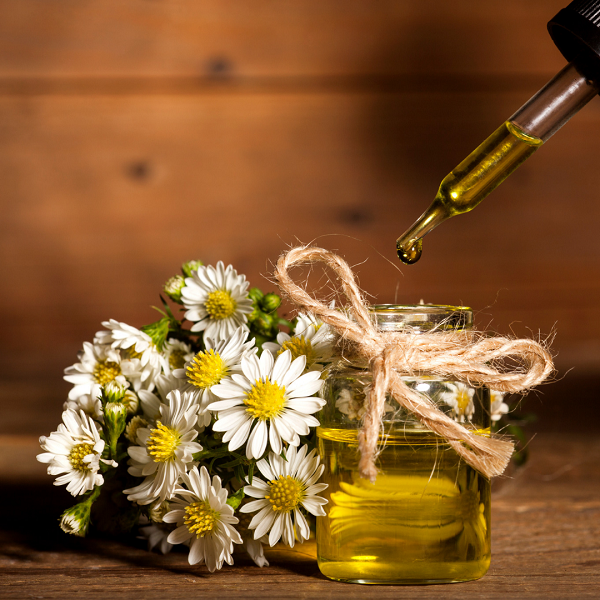 Oil Essence Manzanilla