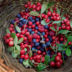 Oil Essence Mix Berries