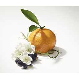 Mikado Vintage Jazmín Mandarina