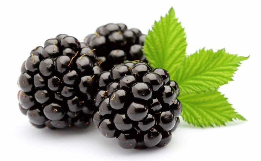 Perfume Telas Mulberry Uva