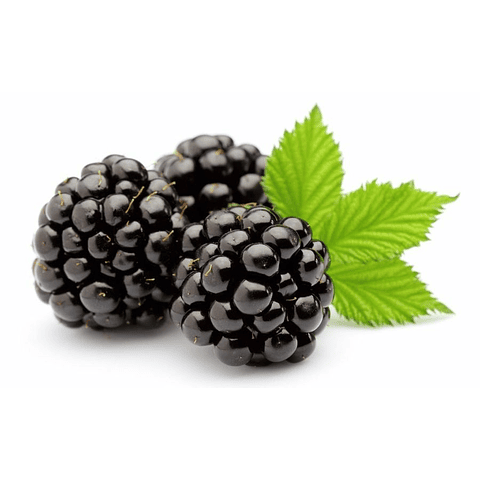 Perfume Telas Mulberry Uva